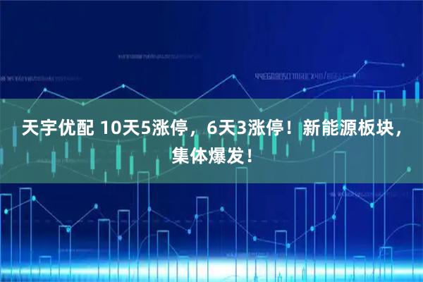 天宇优配 10天5涨停，6天3涨停！新能源板块，集体爆发！