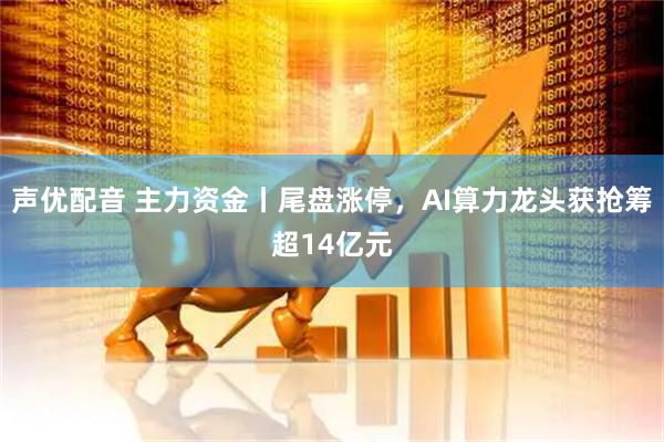 声优配音 主力资金丨尾盘涨停，AI算力龙头获抢筹超14亿元