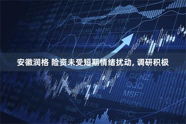 安徽润格 险资未受短期情绪扰动, 调研积极