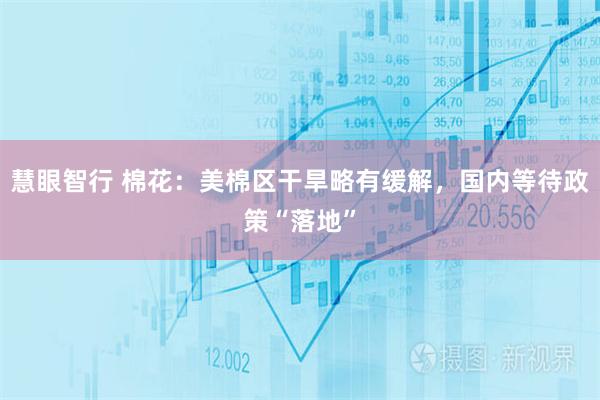 慧眼智行 棉花：美棉区干旱略有缓解，国内等待政策“落地”