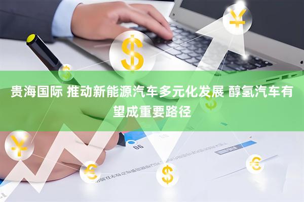 贵海国际 推动新能源汽车多元化发展 醇氢汽车有望成重要路径