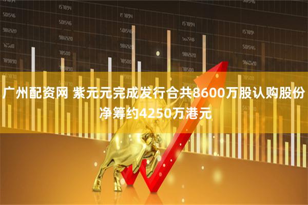 广州配资网 紫元元完成发行合共8600万股认购股份 净筹约4250万港元