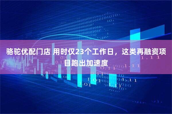 骆驼优配门店 用时仅23个工作日，这类再融资项目跑出加速度