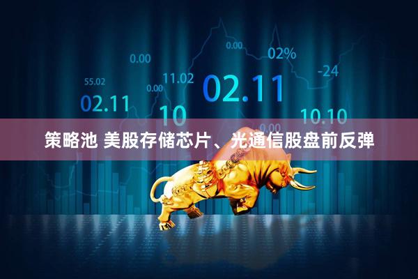 策略池 美股存储芯片、光通信股盘前反弹