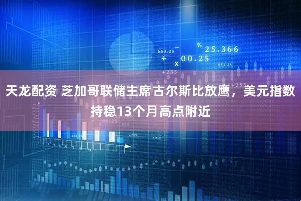 天龙配资 芝加哥联储主席古尔斯比放鹰，美元指数持稳13个月高点附近